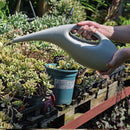 1.5L Long Spout Wide Application Decorative Plant Watering Can - Fry's Superstore