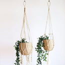 Agora Bin - Set of 2 - Fry's Superstore