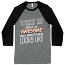 Awesome Big Brother Baseball T-Shirt - I'm the Big Brother T-Shirt - Funny Family T-Shirt - Fry's Superstore