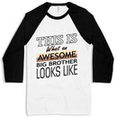 Awesome Big Brother Baseball T-Shirt - I'm the Big Brother T-Shirt - Funny Family T-Shirt - Fry's Superstore