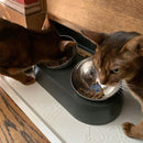 Elevated Cat Food Bowls with Silicone Feeding Mat for Cats, Kittens, Small Dogs - Fry's Superstore