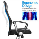 Home Office High Back Mesh Ergonomic Desk Chair - Fry's Superstore