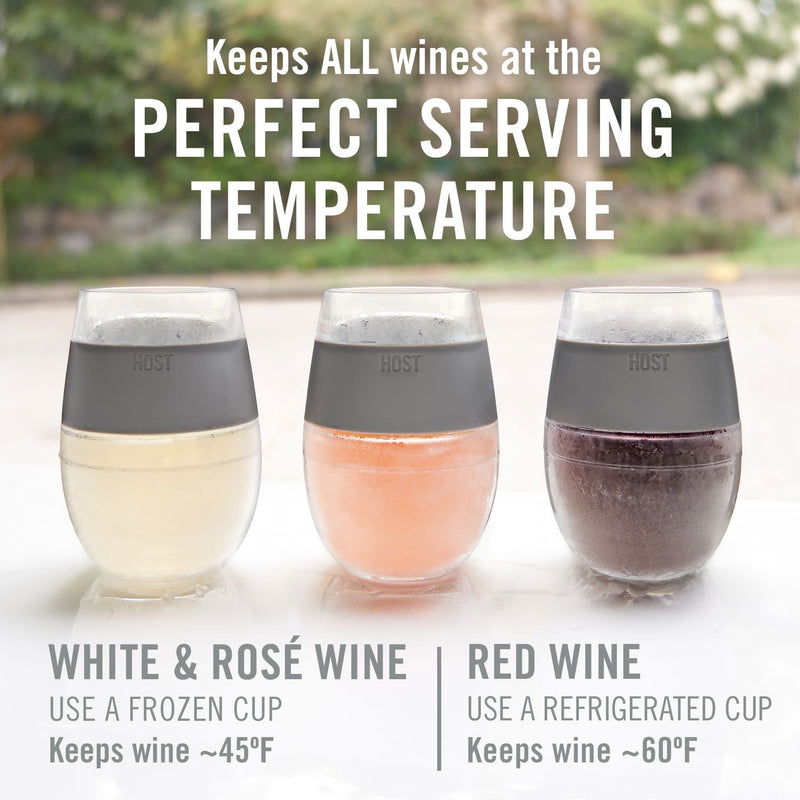 Host Freeze Double Wall Insulated Freezer Chilling Tumbler Cooling Cups Set of 2 - Fry's Superstore