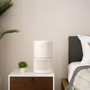 LEVOIT Core 300 True HEPA Air Purifier - Fry's Superstore