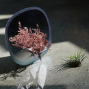 Square Blue Plant Mirror - Fry's Superstore